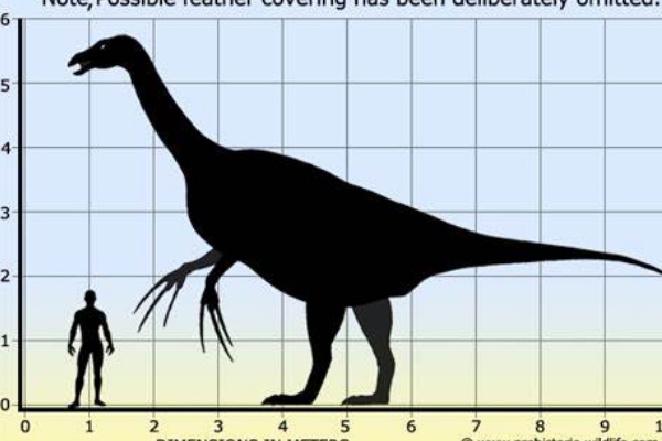 南雄龙:中国大型恐龙(长6米/拥有两大分支物种)