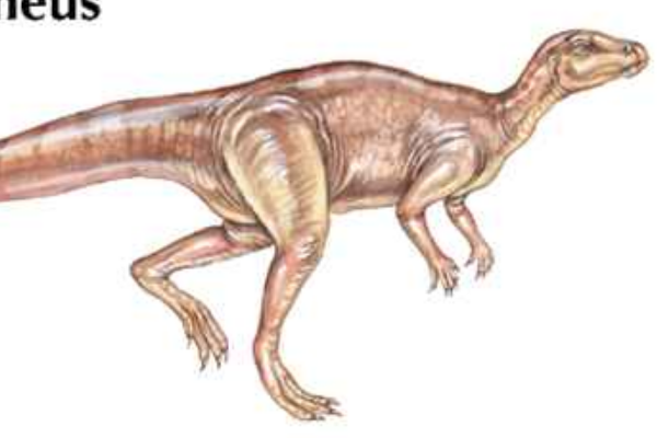 奔山龙:北美小型恐龙(长2.5米/喜欢穴居生活)