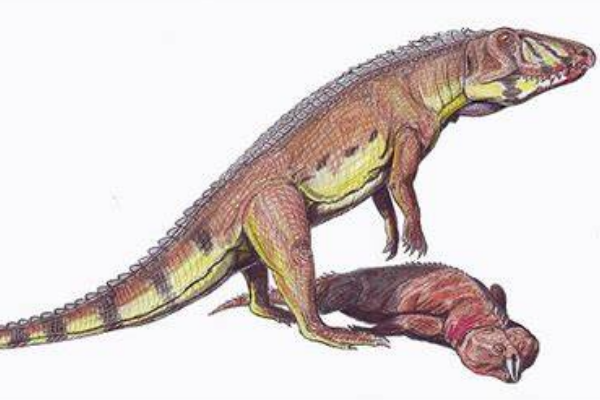 鸟鳄:鳄鱼和恐龙间的过渡生物(长4米/能两足站立)