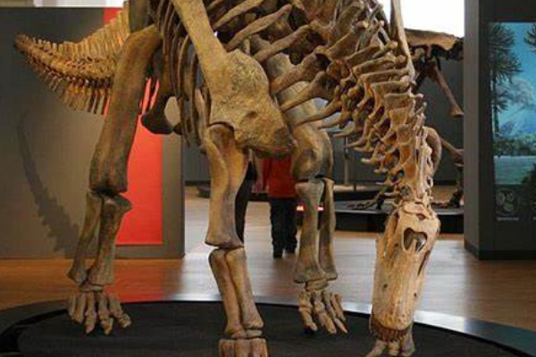 欧姆殿龙:欧洲小型恐龙(长4米/仅出土三根躯干骨骼)