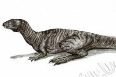 叶牙龙:葡萄牙小型恐龙(长1-2米/牙齿呈树叶状)