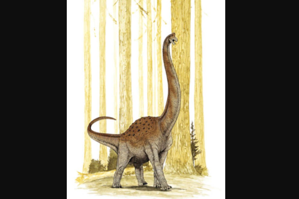畸形龙:欧洲巨型恐龙(长24米/最早认可的蜥脚恐龙)