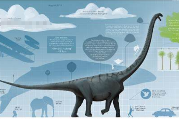 普尔塔龙:全球第三大恐龙(长40米/诞生于7000万年前)