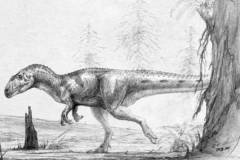 皮尔逖龙:巨型肉食恐龙(长11米/仅发掘一块颅骨)