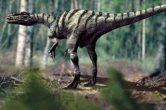 敏捷龙:同名的两大兽脚恐龙(分别出土于中国和欧洲)