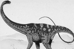 釜庆龙:韩国超巨型恐龙(长20米/仅出土大量脊椎骨)