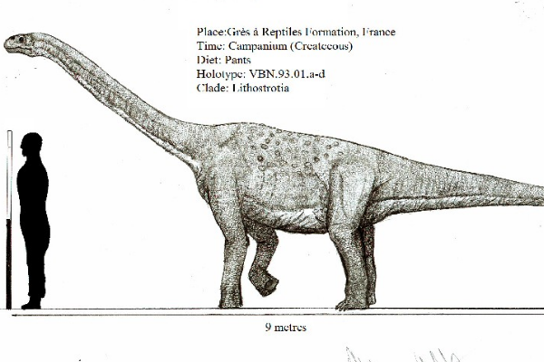 吉普赛龙:法国超巨型恐龙(长12米/缺乏颅骨化石)