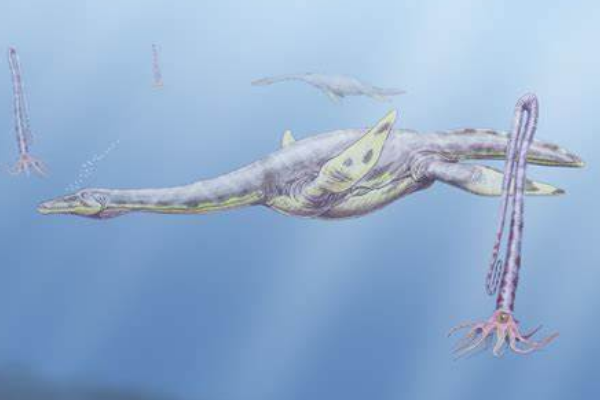 长锁龙:英国小型爬行类(长3米/锁骨硕大且修长)