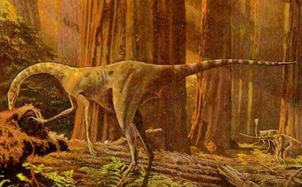 中国龙：云南小型食肉恐龙（长2.4米/2亿年-1.8亿年前）