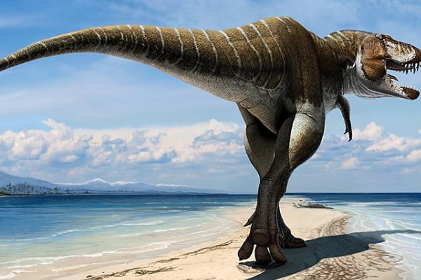 西雅茨龙:目前第七大肉食恐龙(长12.8米/比霸王龙还强)