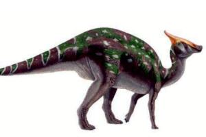 栉龙：大型食草恐龙（长12米体重9吨/以吼声震慑敌人）