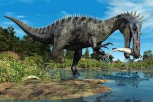 似鳄龙：非洲大型食肉恐龙（长11米/有类似鳄鱼的嘴巴）