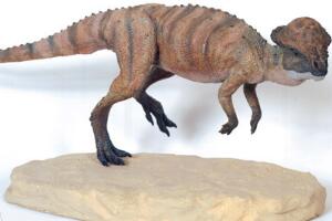 剑角龙：北美洲小型食草恐龙（体长2米/会使用铁头功）