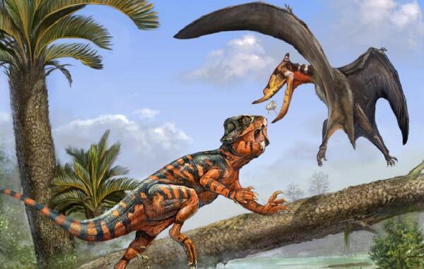 古角龙：甘肃小型食草恐龙（长1米/距今1.3亿年前）