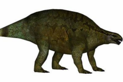芙蓉龙:史前伪鳄类爬行动物(长3米/长有硕大背脊)