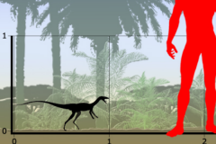 跳龙:迷你型鸟颈类恐龙(长0.6米/喜欢跳跃和奔跑)