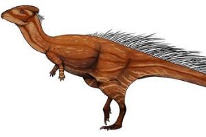 皖南龙：中国小型杂食性恐龙（长0.6米/距今7300万年前）