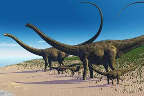巨体龙:印度超巨型恐龙(股骨长2米/被质疑是树木化石)