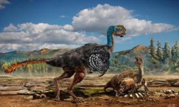 泥潭通天龙：2016年发现的新恐龙（长2米/中国江西出土）