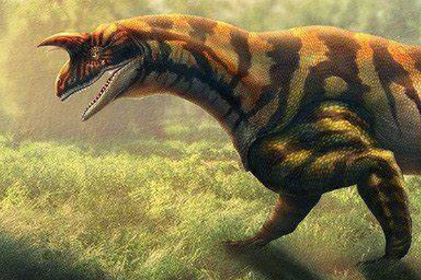 印度犄龙:巨型跖行类生物(长4米/长有硕大眶上角)
