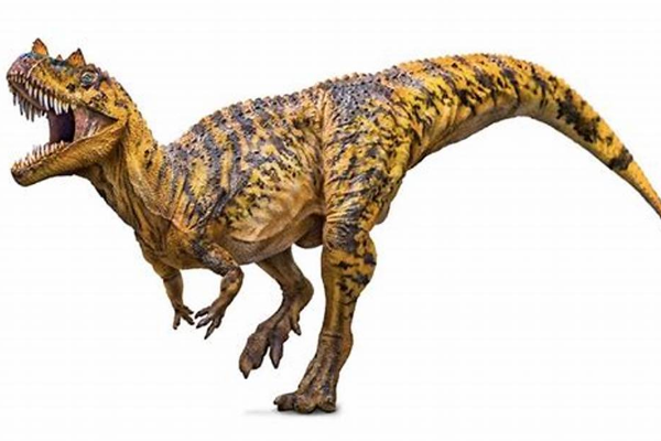 嵴鼻龙:大型肉食恐龙(长5-6米/鼻骨长有细小冠饰)