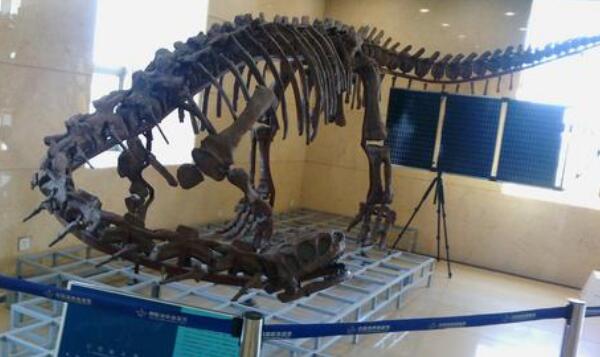 吕勒龙：德国大型食草恐龙（长8米/距今2.19亿年前）