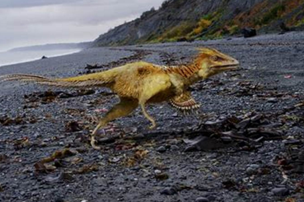 黄昏龙:目前最小的肉食恐龙(身高仅45厘米/不如猫大)