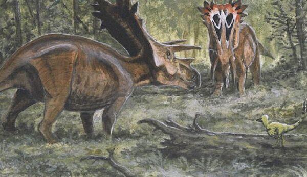 准角龙：加拿大大型食草恐龙（长6米/距今7000万年前）