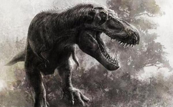 敏捷龙：新疆出土的恐龙（化石仅一颗牙齿/距今1亿年前）