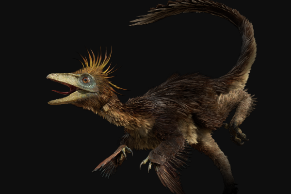 黄昏龙:目前最小的肉食恐龙(身高仅45厘米/不如猫大)