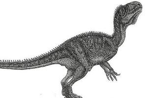 皮尔逖龙：法国大型食肉恐龙（长11米/距今1.6亿年前）