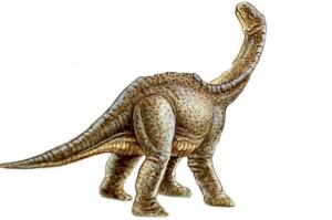 欧姆殿龙：德国小型食草恐龙（长4米/距今1.91亿年前）