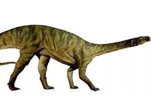吕勒龙：德国大型食草恐龙（长8米/距今2.19亿年前）