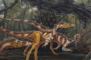 美颌龙：德国小型食肉恐龙（长4米/距今1.45亿年前）