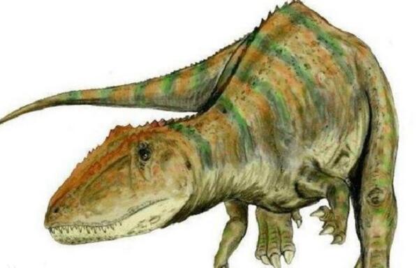魁纣龙：阿根廷顶级肉食恐龙（长13米/距今1.18亿年前）