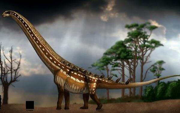 普尔塔龙：世界上第三大恐龙（长40米/距今7000万年前）