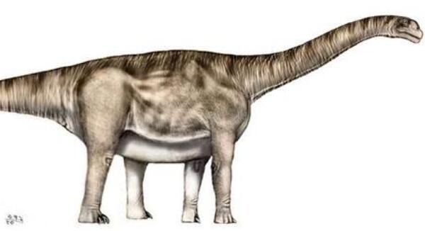 阿拉果龙：西班牙巨型食草恐龙（长18米/距今1.2亿年前）