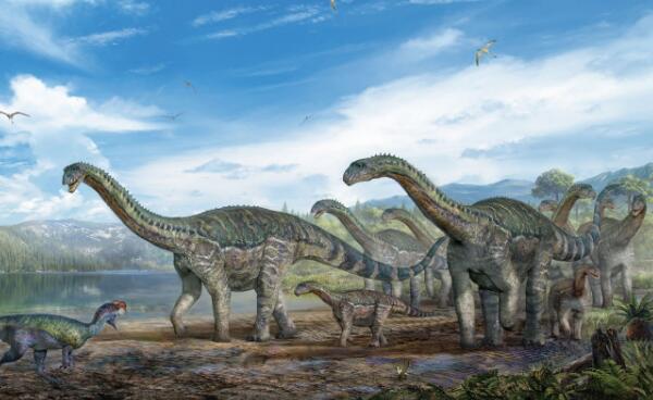 特维尔切龙：阿根廷巨型恐龙（长15米/距今1.61亿年前）