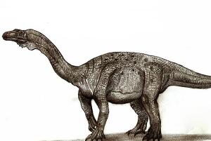 贝里肯龙：非洲小型食草恐龙（长5米/距今2.15亿年前）