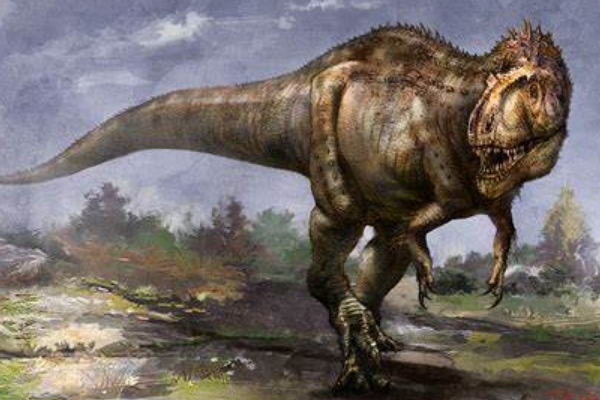 鲨齿龙科的五大恐龙:第一最长14.5米(被称第四大肉食龙)