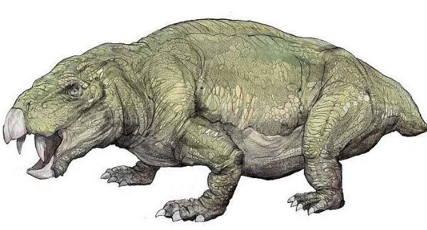 巧合角龙：大洋洲小型食草恐龙（长2米/距今1.12亿年前）