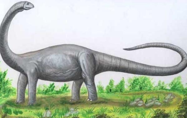 瑞拖斯龙：澳大利亚大型食草恐龙（长12米/1.68亿年前）