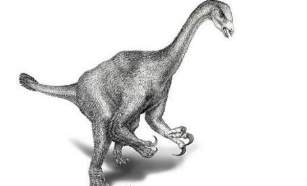 肃州龙：中国甘肃大型食肉恐龙（长6米/距今1亿年前）