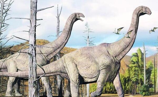 苏尼特龙：亚洲大型食草恐龙（长9米/距今6500万年前）