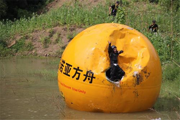 诺亚方舟为什么在中国 诺亚方舟的制作原因是什么