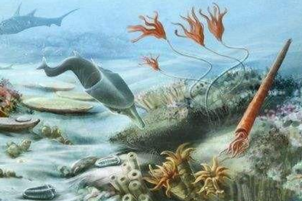 土伦阶灭绝事件:海洋缺氧证据确凿(沧龙科发展壮大)