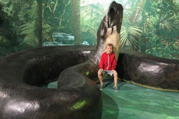 远古最大的蛇:泰坦蟒，长15米重1吨食物5米长(变温动物)