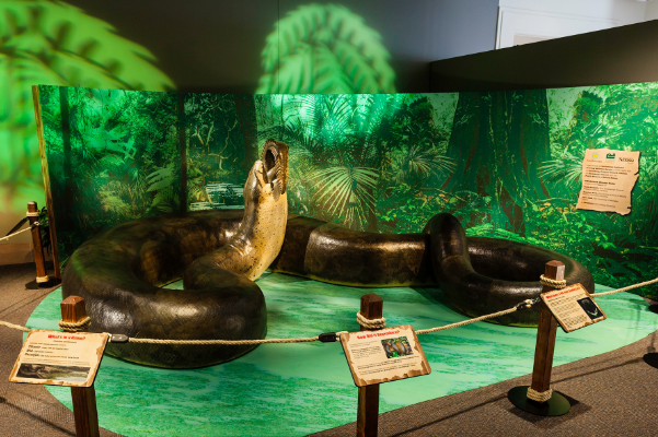 远古最大的蛇:泰坦蟒，长15米重1吨食物5米长(变温动物)