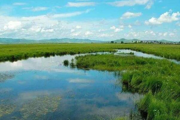 湿地的生态功能:8大功能地球之肾，天然净化器(调蓄洪水)
