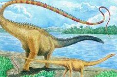 世界上最大的恐龙:地震龙，长36米，重40吨(植食性恐龙)